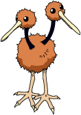 Doduo